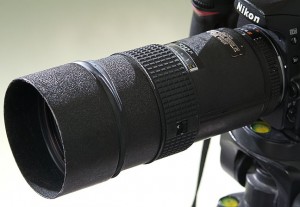 Nikon's excellent 180mm f/2.8 apparently does not get along with the autofocus of the Nikon D100.
