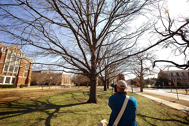 Whether it is a giant oak like this one my friend Michael is photographing at Oklahoma University, or a tiny trembling leaf, the final image should express your vision and feelings about the subject.