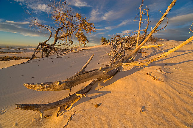 White Sands National Monument, New Mexico, November 2010; this was a good shoot, and yielded many great images like this one. Despite my best efforts, this didn't quite take top five honors.