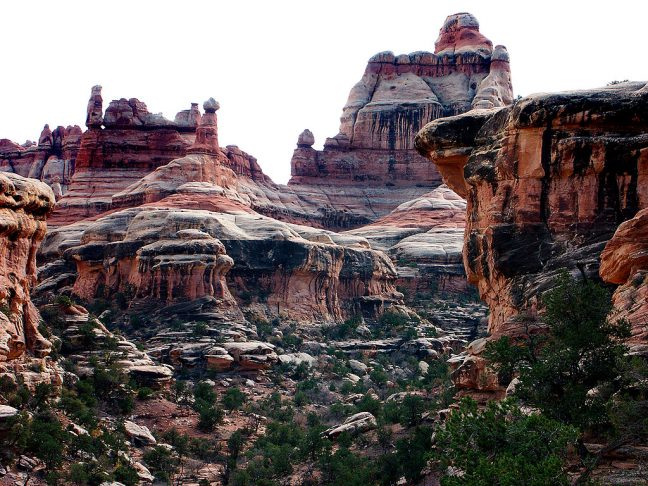 The Needles District at Canyonlands is, like the other districts, labyrinthian, as in this November 2002 image.