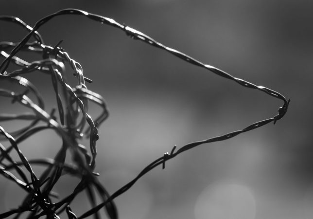 Black and white barbed wire: am I creating, or just brooding? Does it matter?