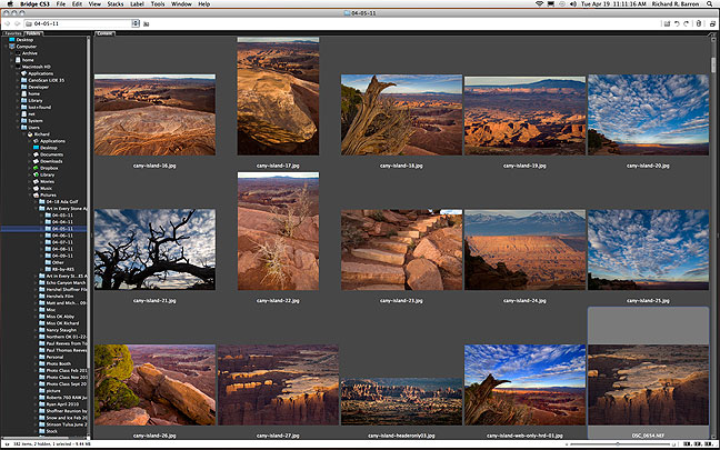 Screen shot from Adobe Bridge of some of the images I am editing this morning; at the time I shot them, I wasn't overwhelmingly pleased with them, but now that I am working them, I like what I am getting.