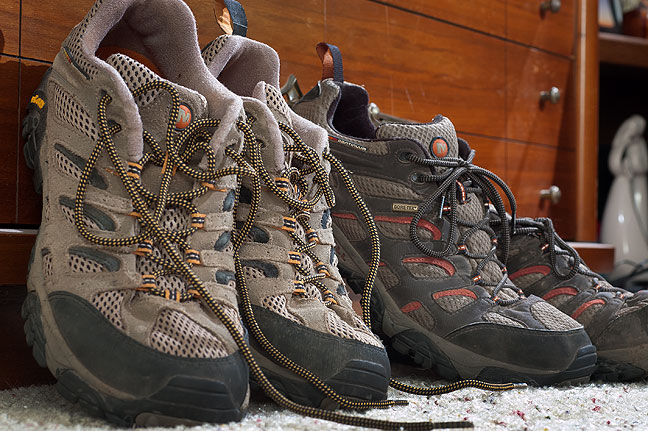These are my Merrill Moab Ventilators, an excellent lightweight hiking shoe.