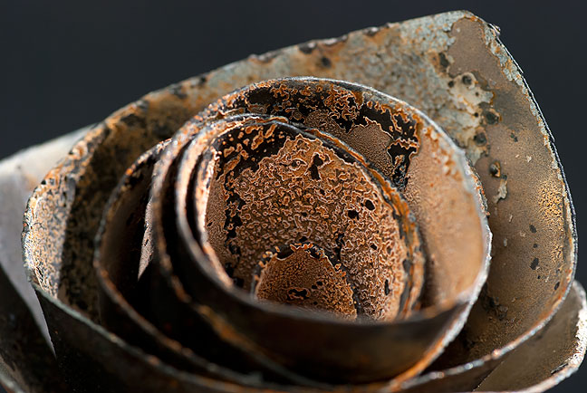 The texture on this metal rose is incredible.