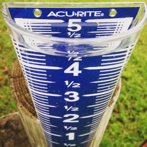 I arrived at home tonight to find that our rain gauge was completely full.