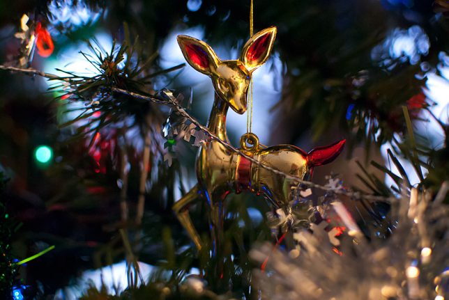 Our deer ornament hangs on the tree last week. I think this is one of the most beautiful decorations we own.