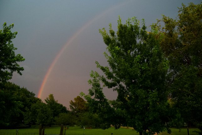 I said, "Wow. Honey, you have to come out here and see this." She came out to see this and said, "Wow!"