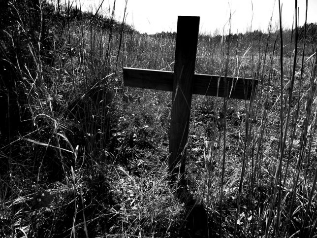 Sad eyes, crooked crosses, or a sign from the Blair Witch's Oklahoma Region? Hawken and I saw this on the trail today.
