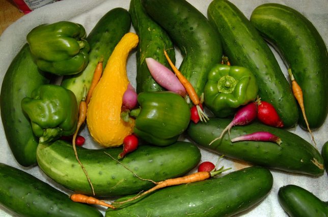 Fruits and vegetables like these all summer are the payoff for the very hard work and devotion of spring gardening.