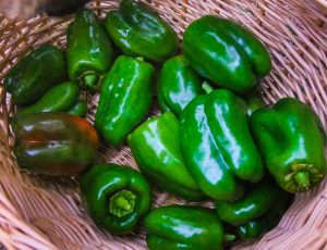 Bell peppers sit in my basket two nights ago. They are good to eat alone, as a salad, or as an ingredient in burritos, soups, beans and more, and they are very nutritious.