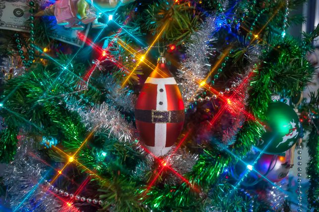 The fat Santa ornament hangs on our Christmas tree this week. The star effect is from a filter I've owned since about 1977, a cross-screen.