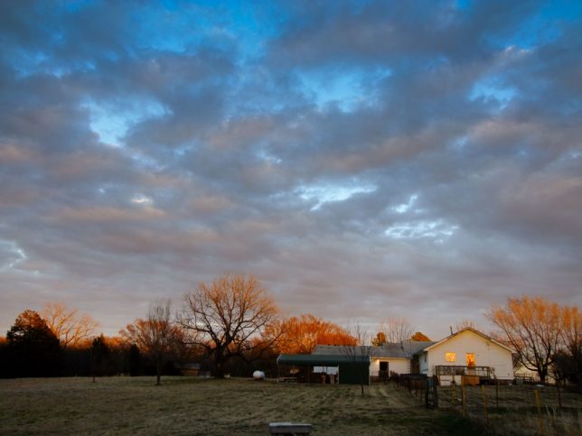 The house and the back yard take on color at last light a couple of nights ago.