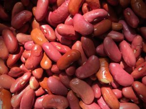 There don't seem to be any food shortages, especially if you are like us, and eat from the bottom of the food chain. Today I made red beans and rice.