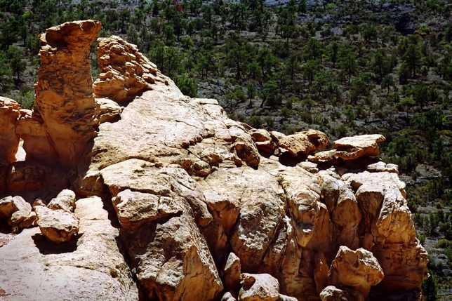 Cliffs are set against a backdrop of the Grants lava flow at El Malpais National Monument.