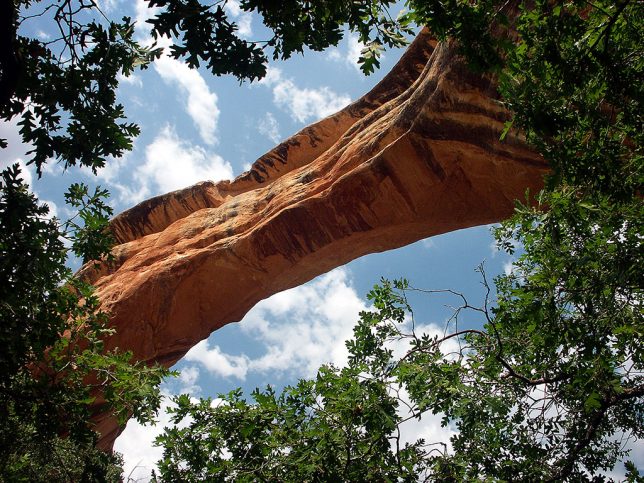 At the bottom of a beautiful trail is Sipapu Bridge, one of the largest natural bridges in the world.