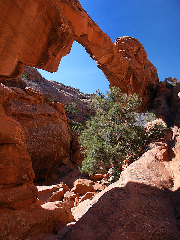 The Devil's Garden trail passed through Wall Arch. This arch collapsed four years after this image was made.