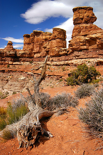 Spires rise near the Confluence trail head at Canyonlands.