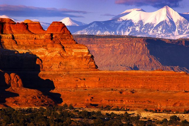 Formations in The Needles District of Canyonlands are set against a background of the La Sal Mountains.