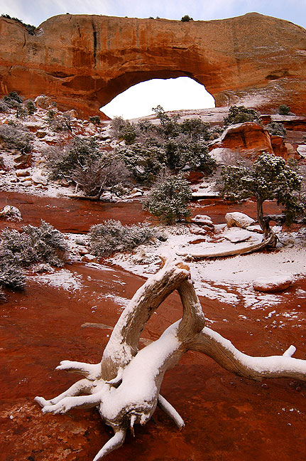 My first stop was Wilson Arch along U. S. 191 south of Moab, shown in early morning snow.