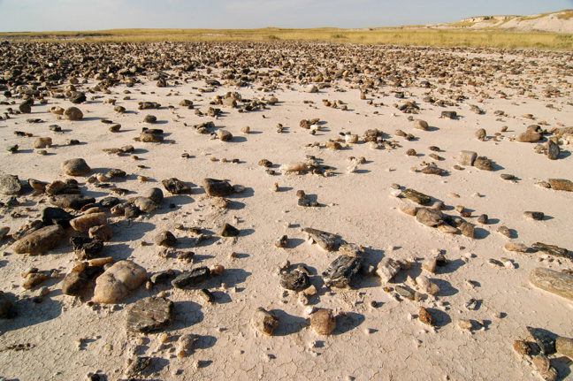 Scattered stones on a playa along the Castle Trail, Badlands.