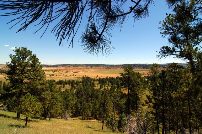 This is the view on the eastern end of the Red Beds trail at Devil's Tower.