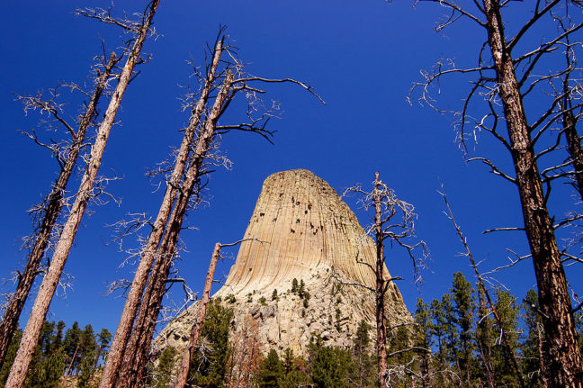 Devils Tower, Wyoming, Viewed from the Red Beds Trail