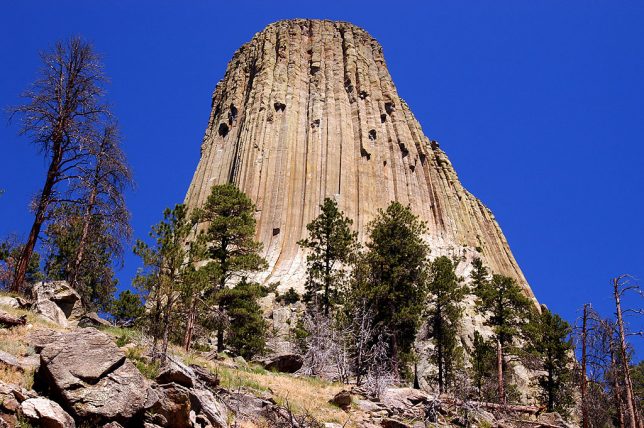 The Devil's Tower is set against a deep blue summer sky.