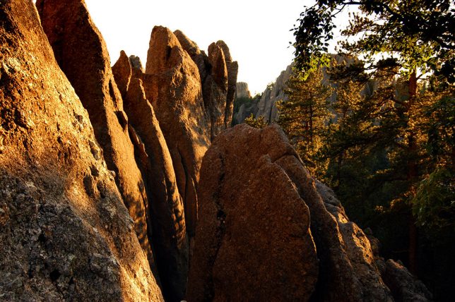 The spindle-like spires give the Needles Highway its name.