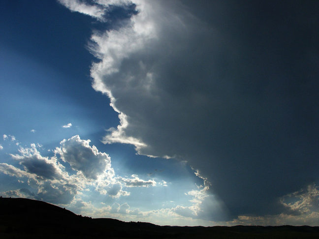 Developing Thunderstorm, Custer State Park