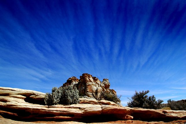 Near the crest of the Rim Overlook, I encountered these subtle cirrus clouds.
