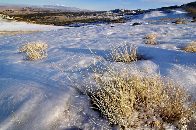 This wider view of the snow field in near Deer Peak along Utah 72 shows the Henry Mountains in the distance.