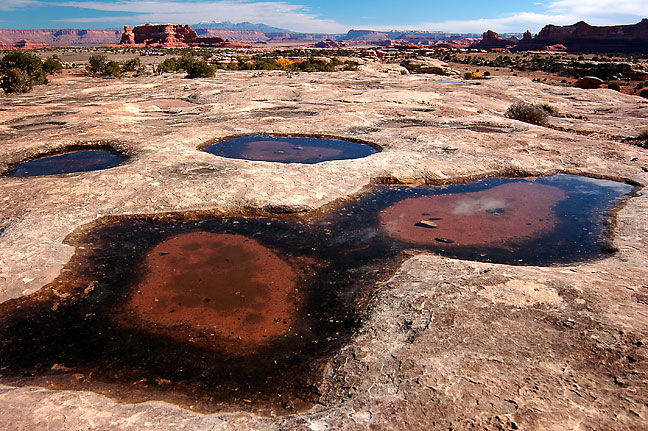 Potholes with water near Squaw Flat, Canyonlands National Park.