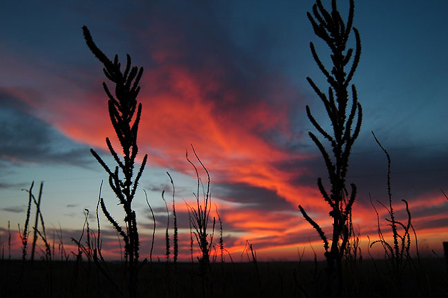 The sun sets on west Texas prairie.