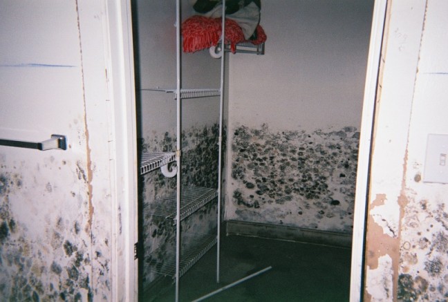 The towel rack and light switch in this image give an idea how high the water was in Nicole's house.