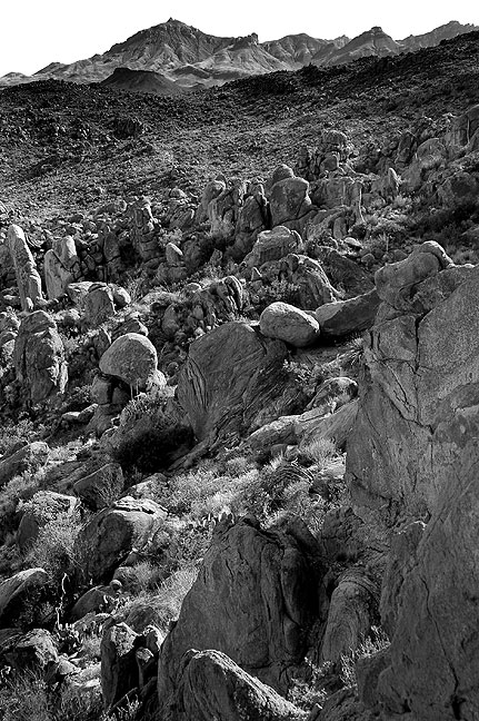 This is a rendition of the boulder field in the Grapevine Hills, this one in black-and-white; I feel this rendering is closer to the open, high country light capture by photographers like Ansel Adams.