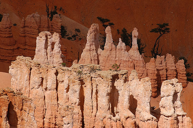 Afternoon light and shadow in Bryce Canyon.