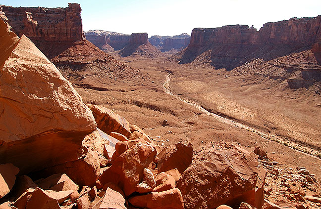 The view up Taylor Canyon, Canyonlands.