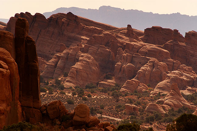 Looking south, Klondike Bluffs area, Arches National Park.