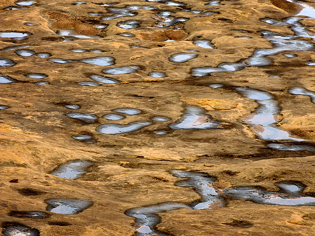 Potholes full of rainwater stretch across slickrock at Canyonlands; some creatures complete their entire life cycles in these puddles, in the time it takes for them to dry up.