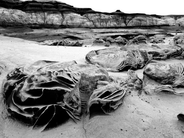 With light subdued by clouds and blowing dust, I chose to shoot the "Cracked Eggs" at the Bisti in black-and-white. 