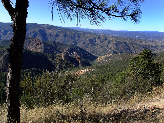 Mogollon Mountains and Gila National Forest from the Copperas overlook on New Mexico state highway 15 south of Gila.