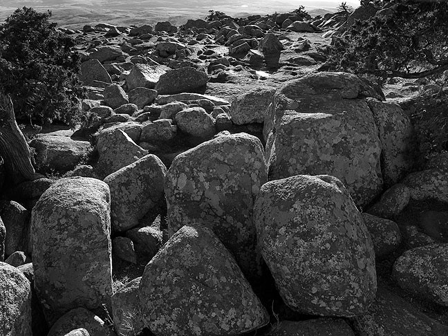 Moody black-and-white view, Mount Scott