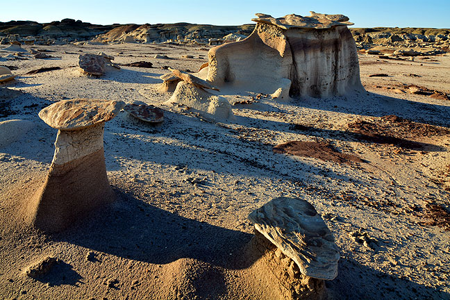 Morning light shines on a hoodoo field at the Bisti Wilderness.
