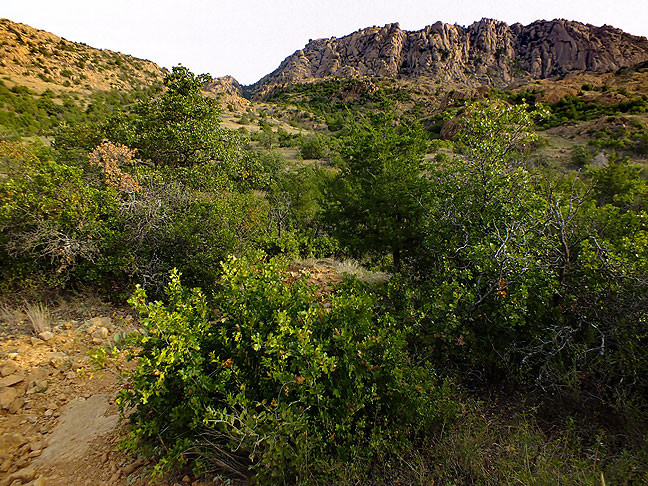 The Wichita Mountains are quite beautiful, as in this image made along the trail early in my hike.