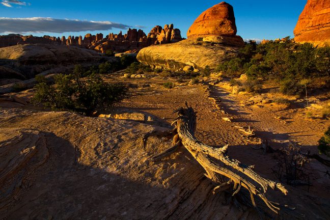 The sun rises on the Chesler Park Trail in the Needles District of Canyonlands National Park, Utah. Of all the places I have visited and hiked in the American West, I think this might be my all-time favorite.