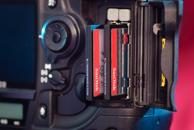 The Nikon D3 has two Compact Flash (CF) card slots. You can program most two-card cameras to use the cards how you want, and I program mine to both write the same data so if one card dies, the other is a back-up.