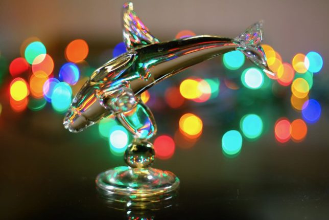 I don't know where I got this glass dolphin; it might have belonged to Dorothy Milligan at one point. Anyway, I photographed it with some Christmas lights to illustrate an image that was mostly made of color.