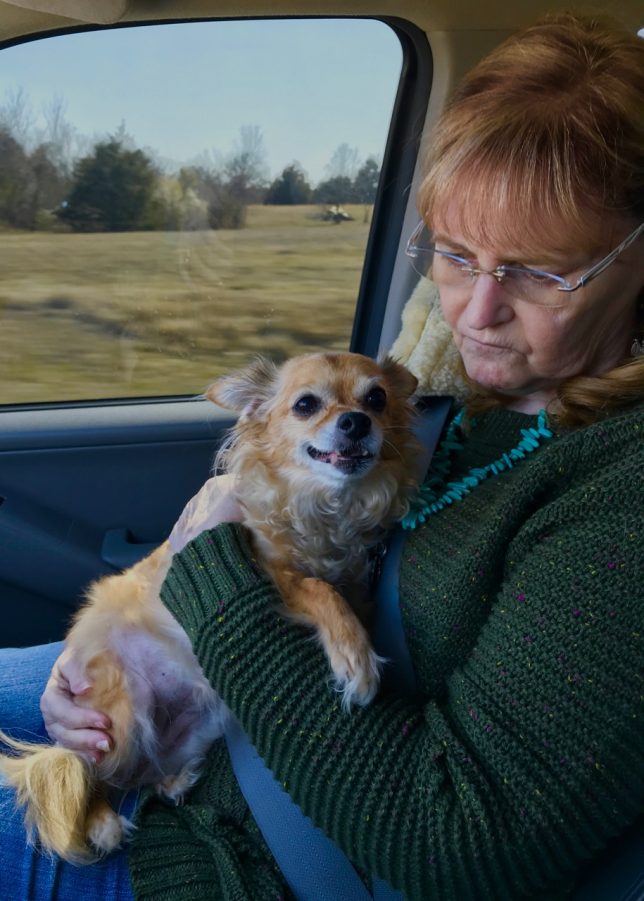 Abby holds Sierra the Chihuahua in her arms on the way to Arlington Animal Clinic.