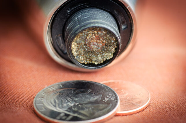 This is the screen from the backroom faucet, completely clogged with resin from the water softener. It is shown with a quarter and a penny for scale.