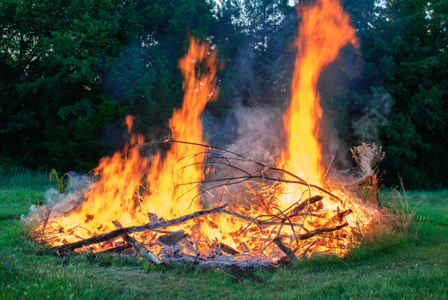 This is my north brush pile at the height of burning last night.